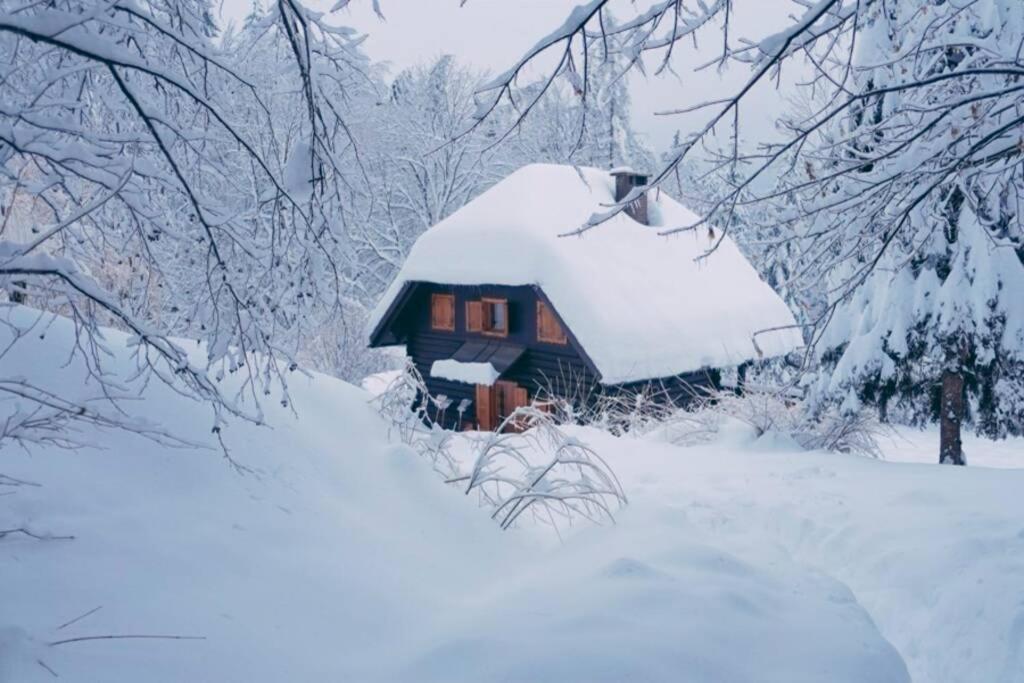 Cottage In The Woods - Lake Bohinj Ngoại thất bức ảnh